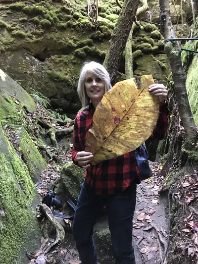 A giant leaf on a mossy trail