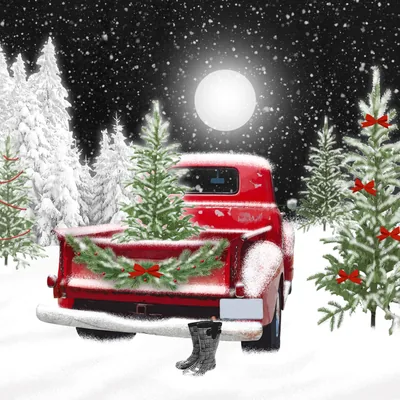 Bringing home the tree