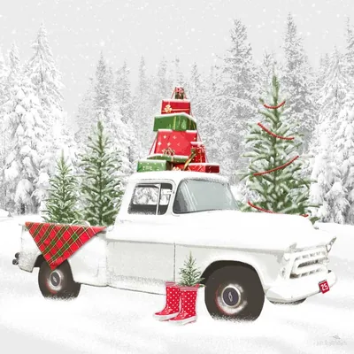 White truck in the snow