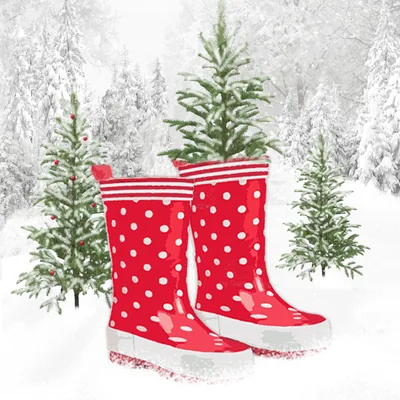 Boots in the snow