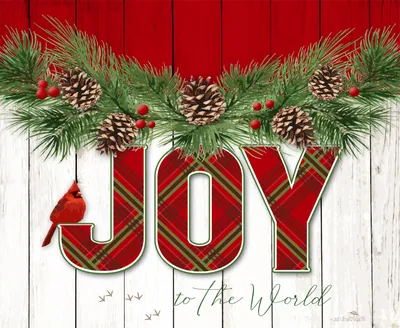 Joy to the world