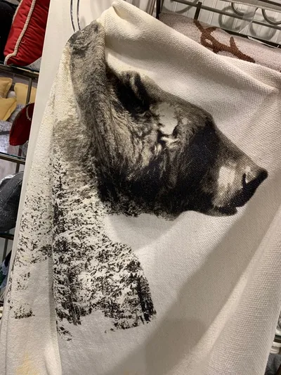 Bear in the pines